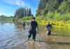 Summerlake Park Turtle Project Helps Improve Water Quality Tualatin Soil and Water Conservation District staff and others check traps on June 24, 2026.
