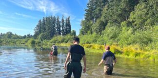 Summerlake Park Turtle Project Helps Improve Water Quality Tualatin Soil and Water Conservation District staff and others check traps on June 24, 2026.