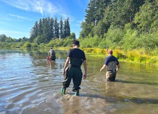 Summerlake Park Turtle Project Helps Improve Water Quality Tualatin Soil and Water Conservation District staff and others check traps on June 24, 2026.