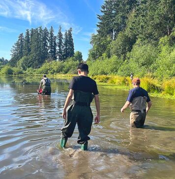 Summerlake Park Turtle Project Helps Improve Water Quality Tualatin Soil and Water Conservation District staff and others check traps on June 24, 2026.