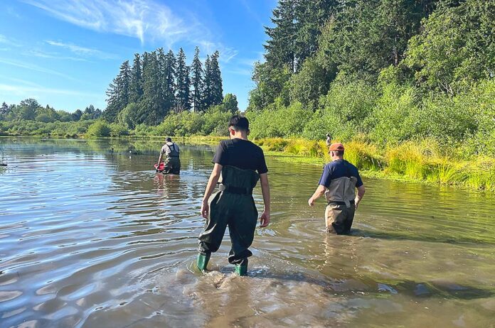 Last-Trap Tualatin Soil and Water Conservation District staff and others check traps on June 24, 2026.