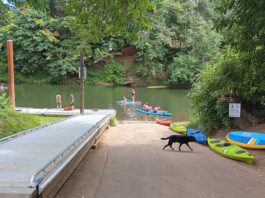 Tigard Kicks Off Construction on New Dock at Cook Park Cook Park’s current boat ramp and the recently installed boarding dock host a mix of kayakers, anglers, and visitors on a busy summer day. Construction is now underway to add a new ADA-accessible dock, which will supplement the existing infrastructure to improve river access for all abilities and help reduce weekend congestion.
