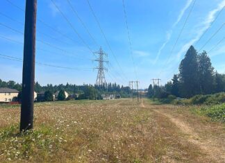 King City moves ahead with much-anticipated Westside Trail and Paddle Launch Westside Trail: King City’s Westside Trail is planned to branch off of Beef Bend Road and run for 0.8 miles under the Bonneville and PGE powerlines.