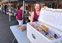 Food Bank Forges On, Even Without Permanent Location Tigard Community Food Project founder Amy Fierderowicz helps man the meat station while volunteers hand out groceries to people on Oct. 6.