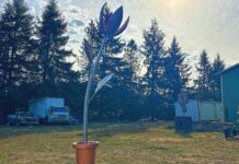 Oregon Sculptor Crafts Kinetic Flower For Downtown Tigard Sun: Ben Dye's "Solar Bloom" sculpture uses solar power to react to sunlight similarly to a real flower.