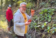 Mushroom Fever: Tigard Locals Share the Magic of the Hunt Kevin Smith and his friend, who introduced him to the pastime, forage out in Clatsop County on Oct. 16.