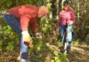 Stubborn Beavers Spur New Habitat Restoration Near Tigard Library A little over 20 volunteers helped reshape the natural area next to the Tigard Public Library, removing blackberry vines, adding mulch and picking up trash.