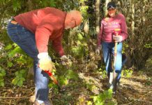 Stubborn Beavers Spur New Habitat Restoration Near Tigard Library A little over 20 volunteers helped reshape the natural area next to the Tigard Public Library, removing blackberry vines, adding mulch and picking up trash.