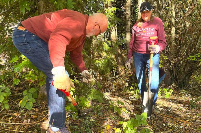 A little over 20 volunteers helped reshape the natural area next to the Tigard Public Library, removing blackberry vines, adding mulch and picking up trash.